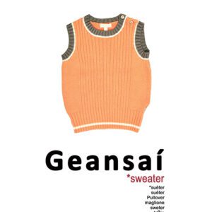Geansaí - Greeting card
